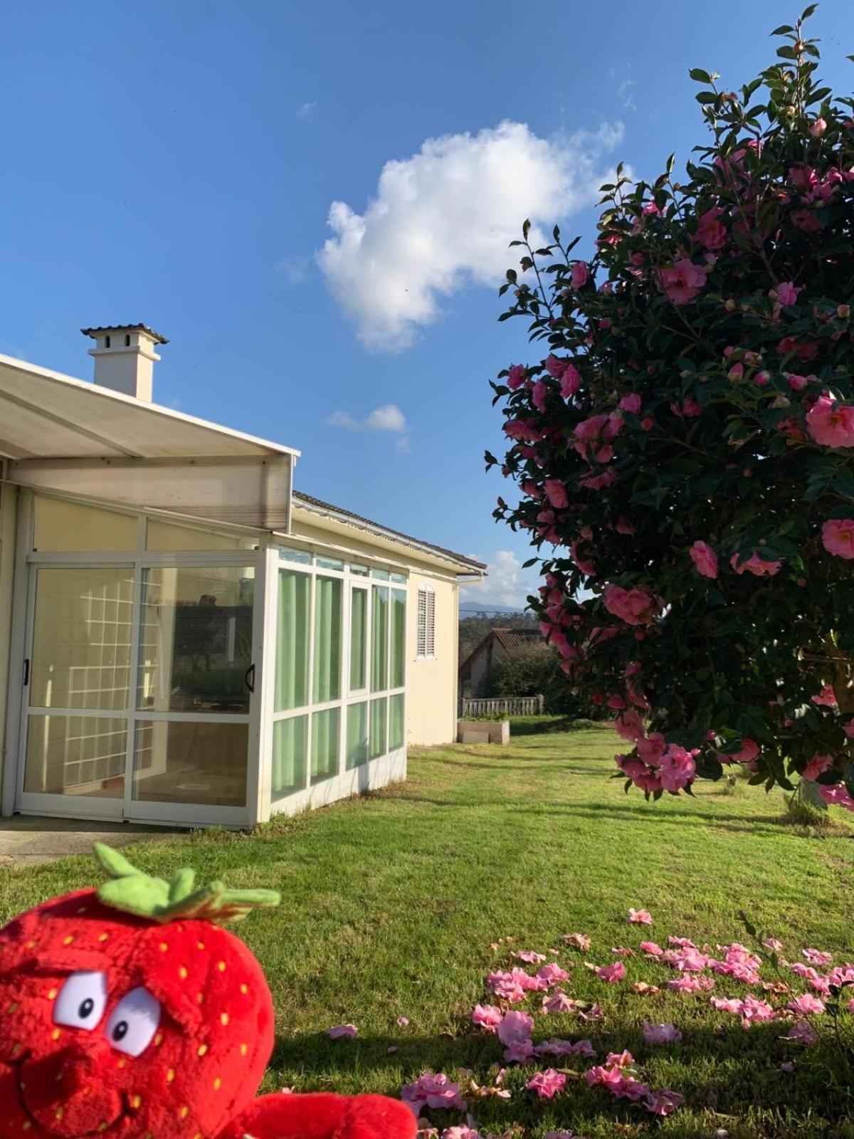 La Maison D'abelleira Homestay Ponteareas