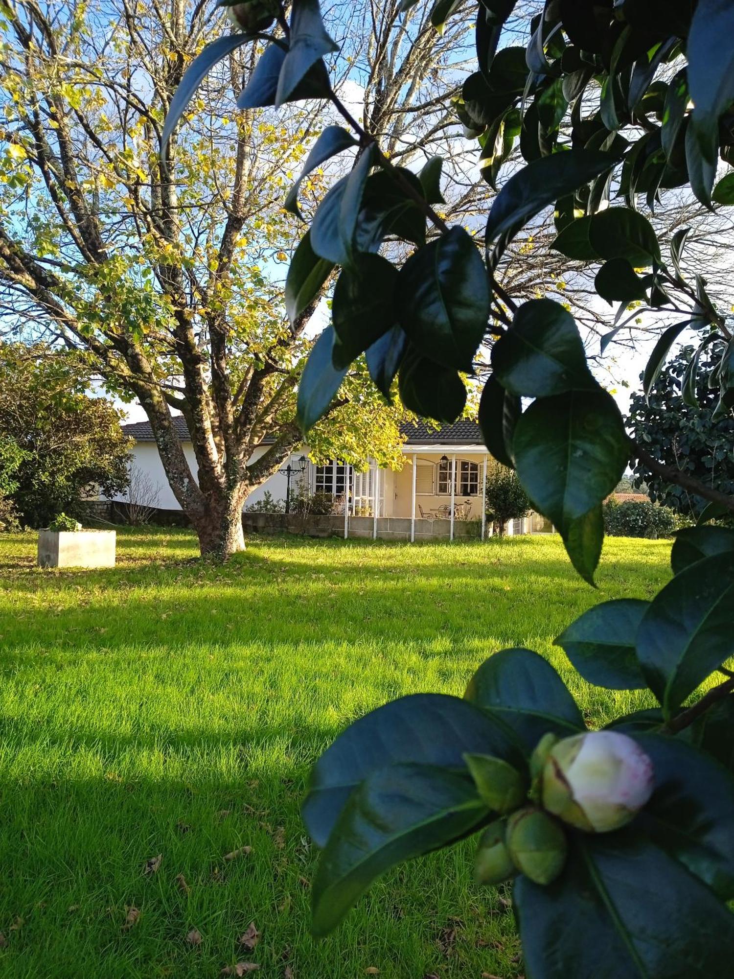 Homestay La Maison D'abelleira