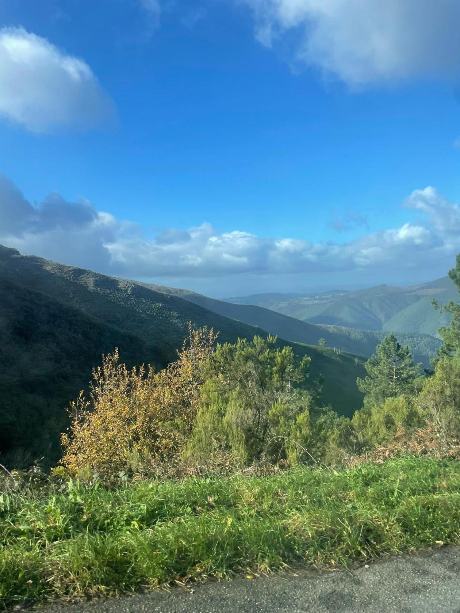 Homestay La Maison D'abelleira