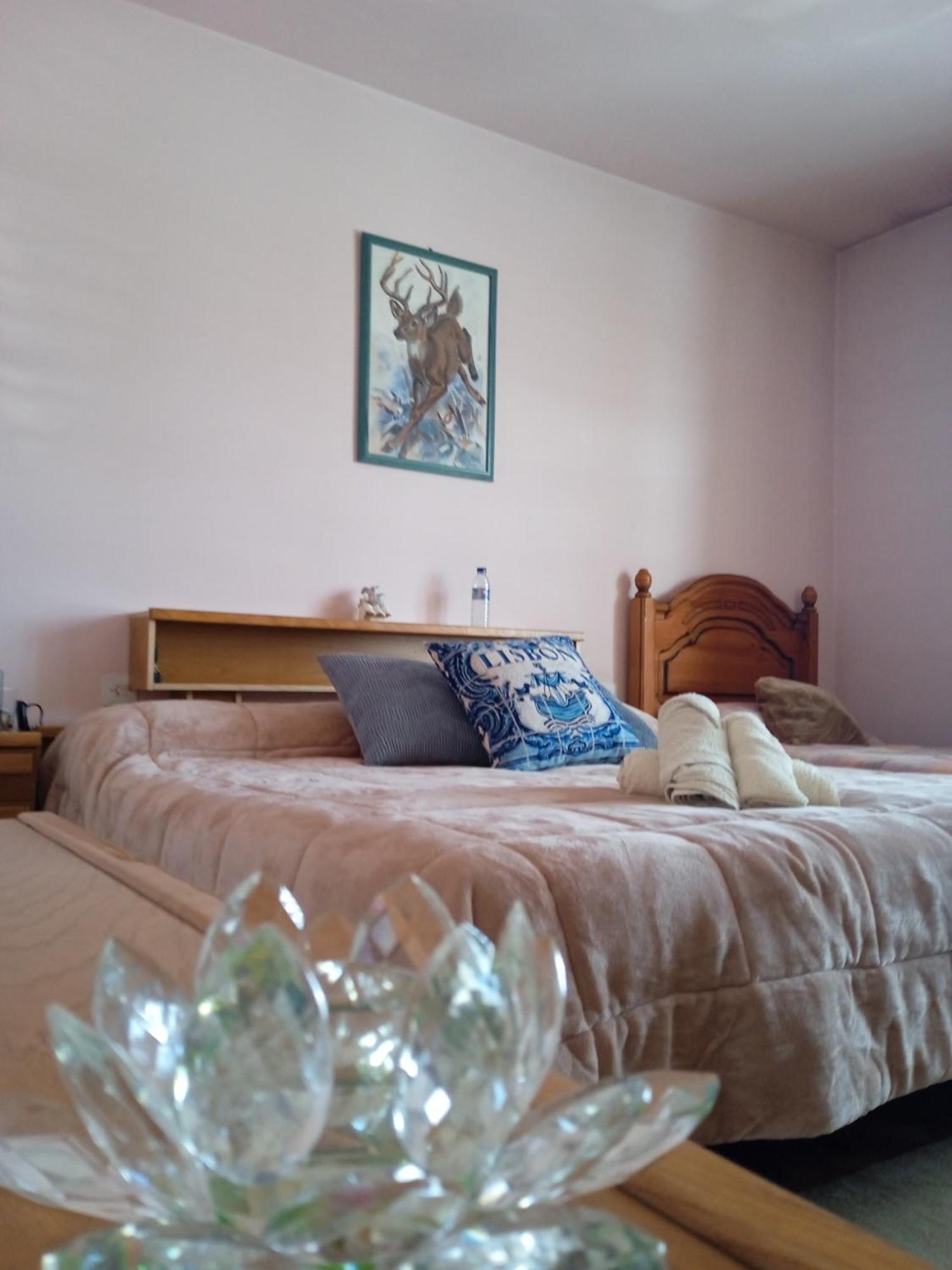 La Maison D'abelleira Homestay
