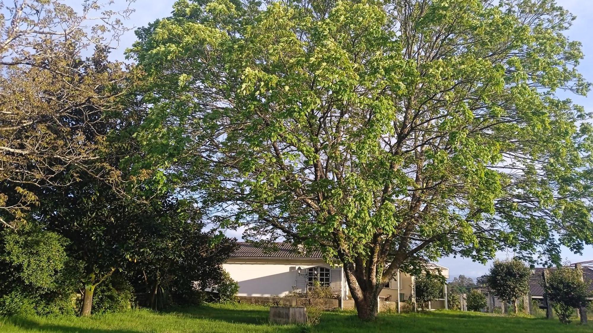 La Maison D'abelleira Ponteareas